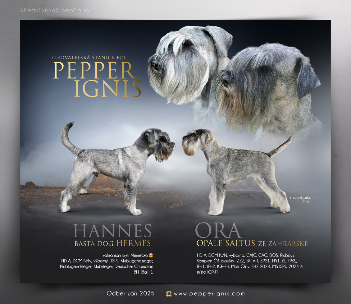 pepper ignis2025 1